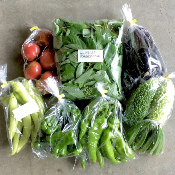 9月第二週 第三週の小鮒農園の野菜セット こぶな農園 Kobuna Farm 里山の風土に培われた 有機野菜 と 暮らしのまんなかにある台所で いのちを養う 養生 を融合させお届けしています